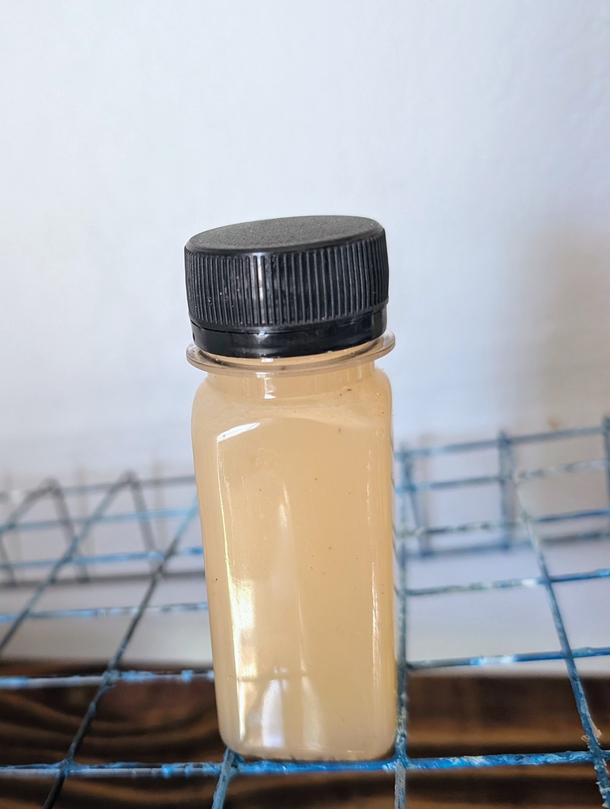 Immunity Shot – Fresh Ginger & Lemon Wellness Boost