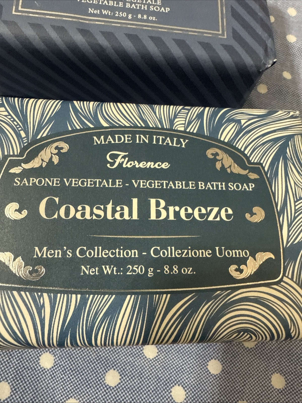 2 SAPONERIE MARIO FISSI SRL 8.8OZ Coastal-marine Breeze Men Bath Bar Soap Italy