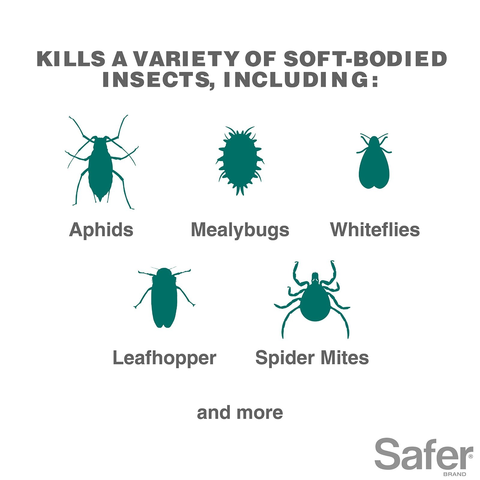 Insecticidal Soap Concentrate for Plants – Kills Aphids, Whiteflies, Mites – Org