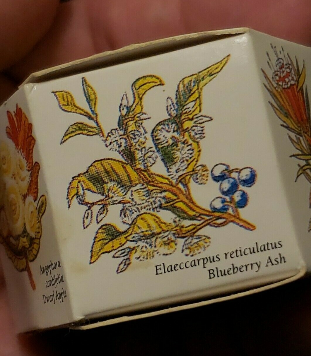 APPLE FARM Wildflower Collection bath soap – NIB
