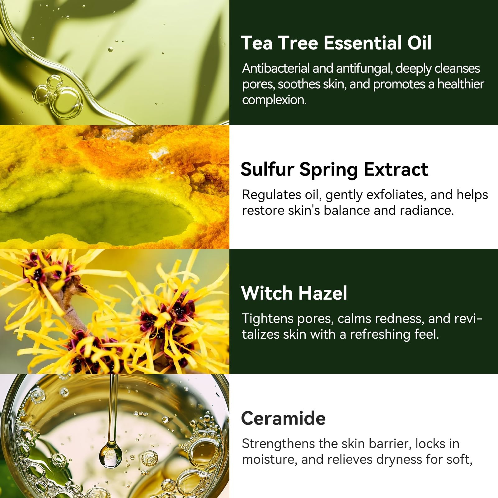 Tea Tree Soap for Itchy Skin, Natural Antifungal Soap Bar for Odor, Fungus, R…