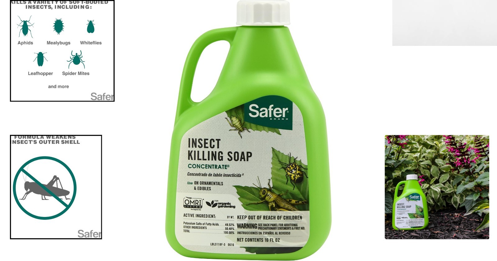 Natural 16oz Insecticidal Soap Concentrate – Kills Aphids, Spider Mites & More