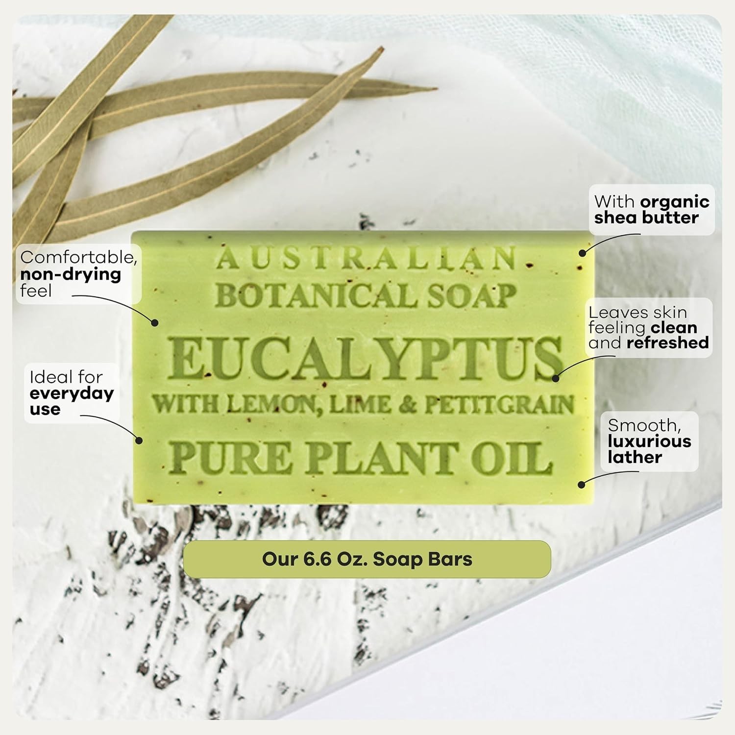 Organic Shea Butter Soap Bars – Eucalyptus Scent, 8 Pack