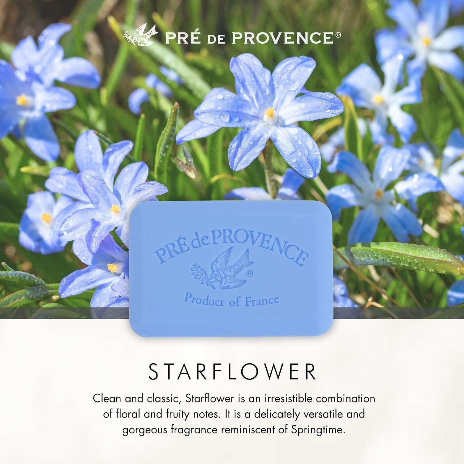 Organic Shea Butter Soap – Quad Milled Artisan Bar, Enlivening Starflower Scent