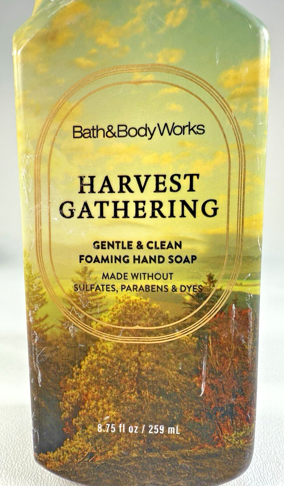 2 Bath & Body Works Harvest Gathering Foaming Hand Soap 8.75 Oz Bath And Body