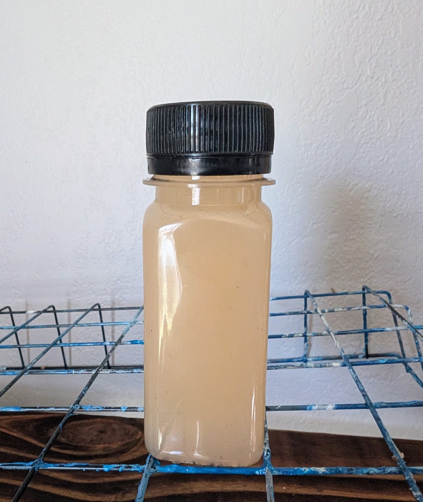 Anti-Inflammatory Wellness Shot – Turmeric Ginger Herbal Boost