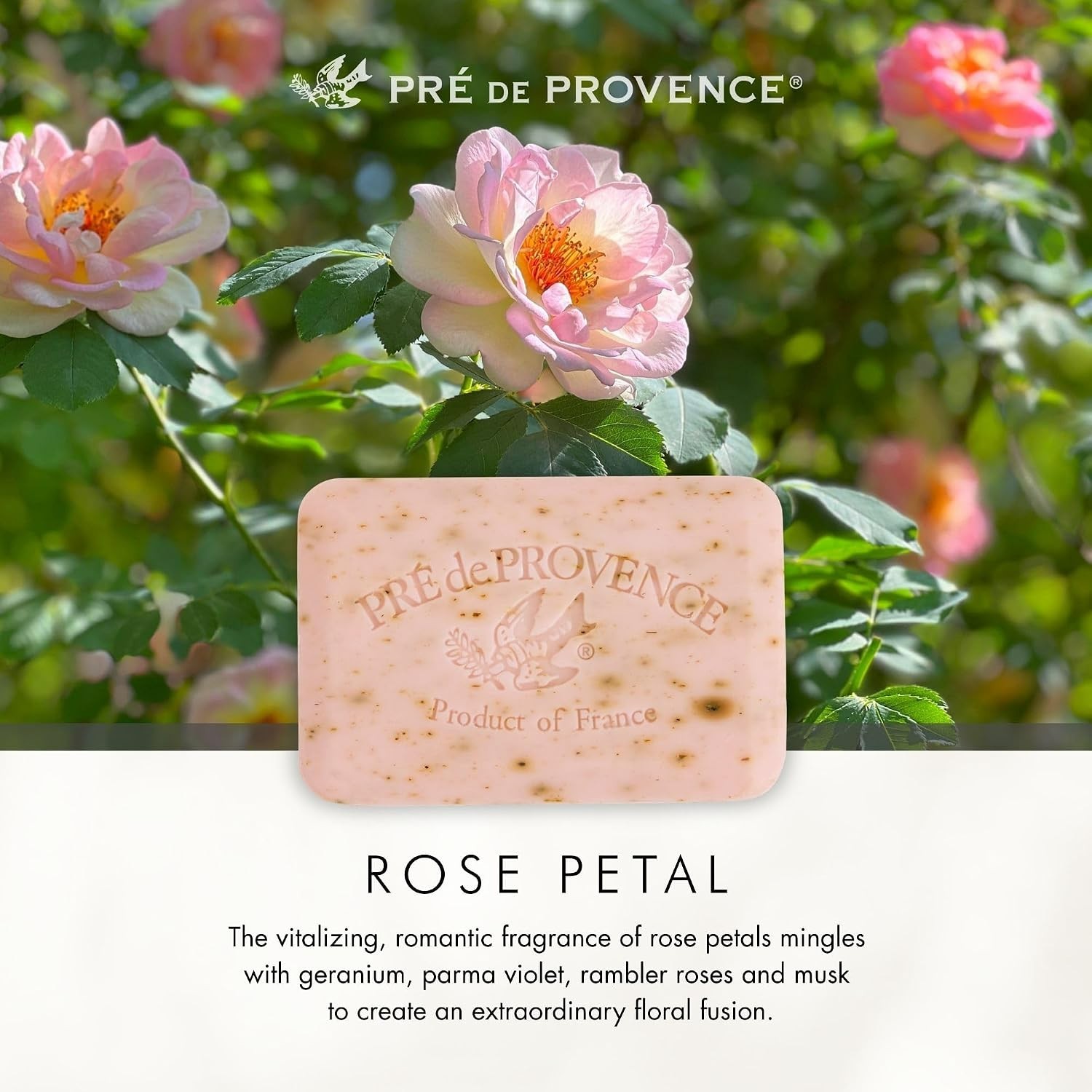 French Crafted Artisan Soap Bar – Rich Rose Aroma & Long Lasting Lather, 5.3 oz