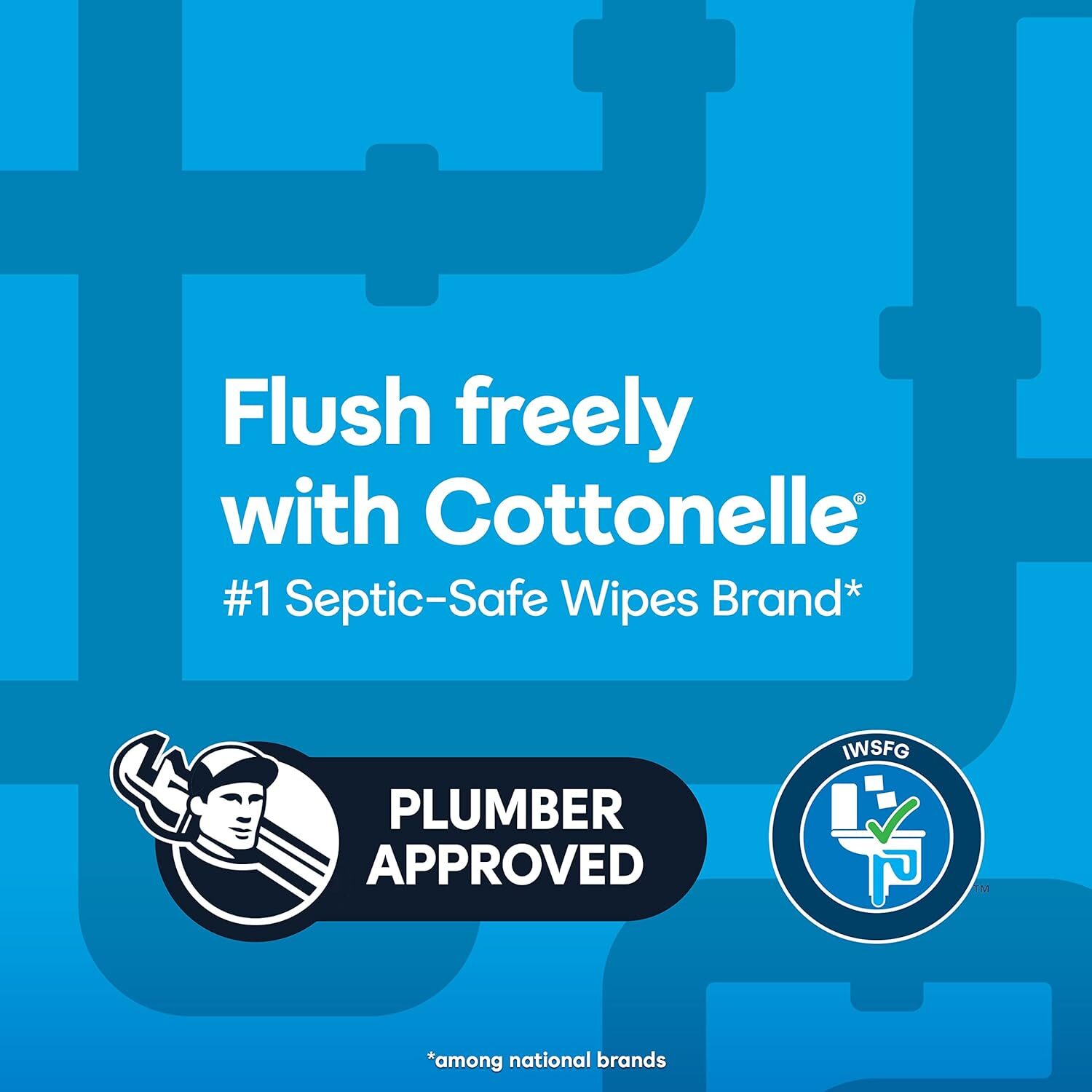Freshfeel Flushable Wet Wipes, Adult Wet Wipes, 8 Flip-Top Packs, 42 Wipes per P