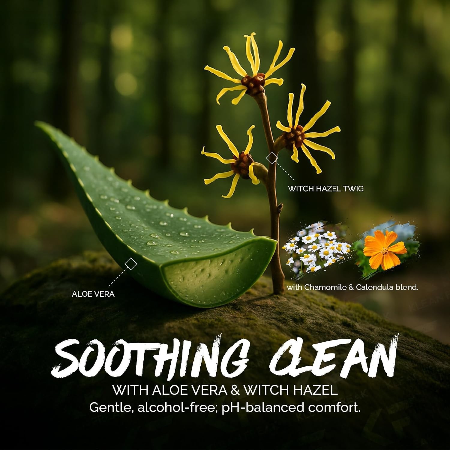 Portable Flushable Wipes – Individually Wrapped, 100 Ct