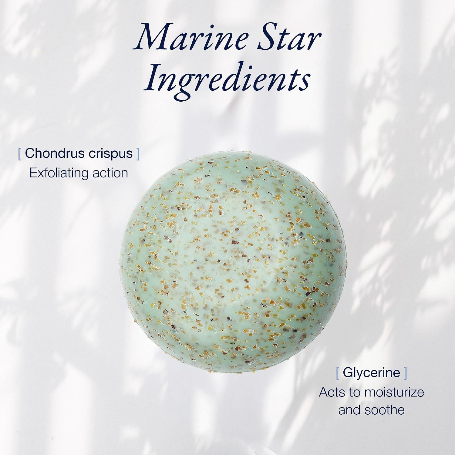 Exfoliating Seaweed Soap Bar for All Skin Types, 150g