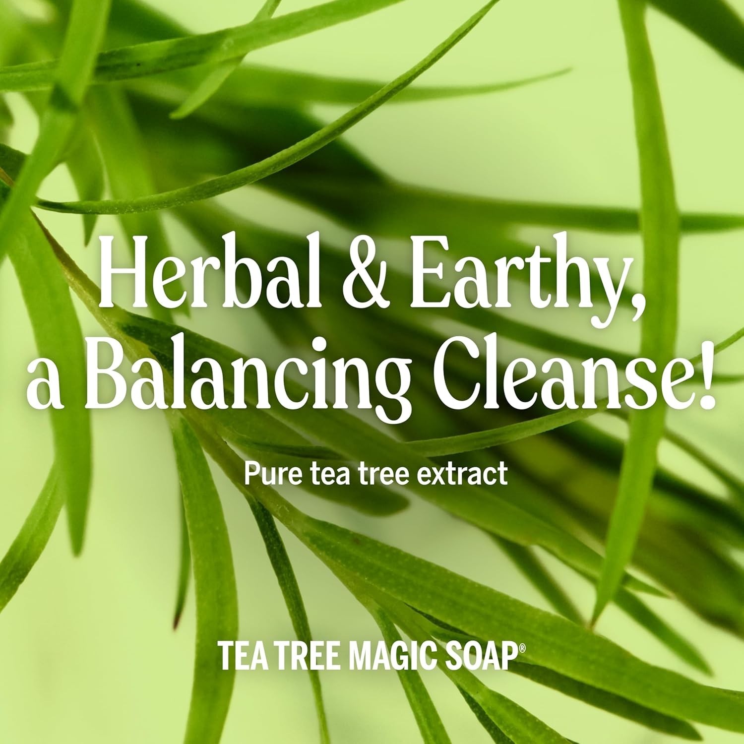 Pure-Castile Magic Soap Liquid Tea Tree, 8 Ounce – Made with Regenerative Org…