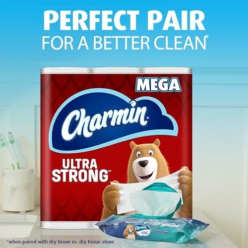 Charmin Flushable Wipes, 480 Total Wipes (12 Packs of 40) 40 Count (Pack of 12)
