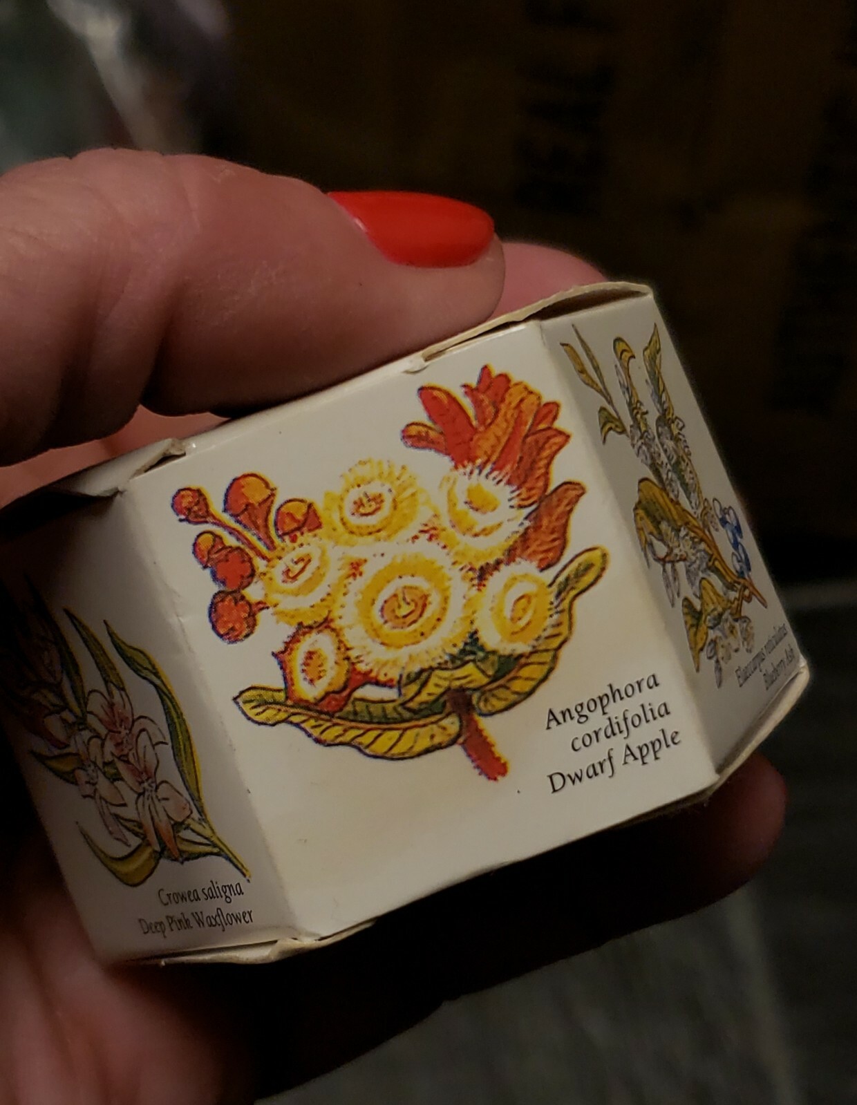 APPLE FARM Wildflower Collection bath soap – NIB