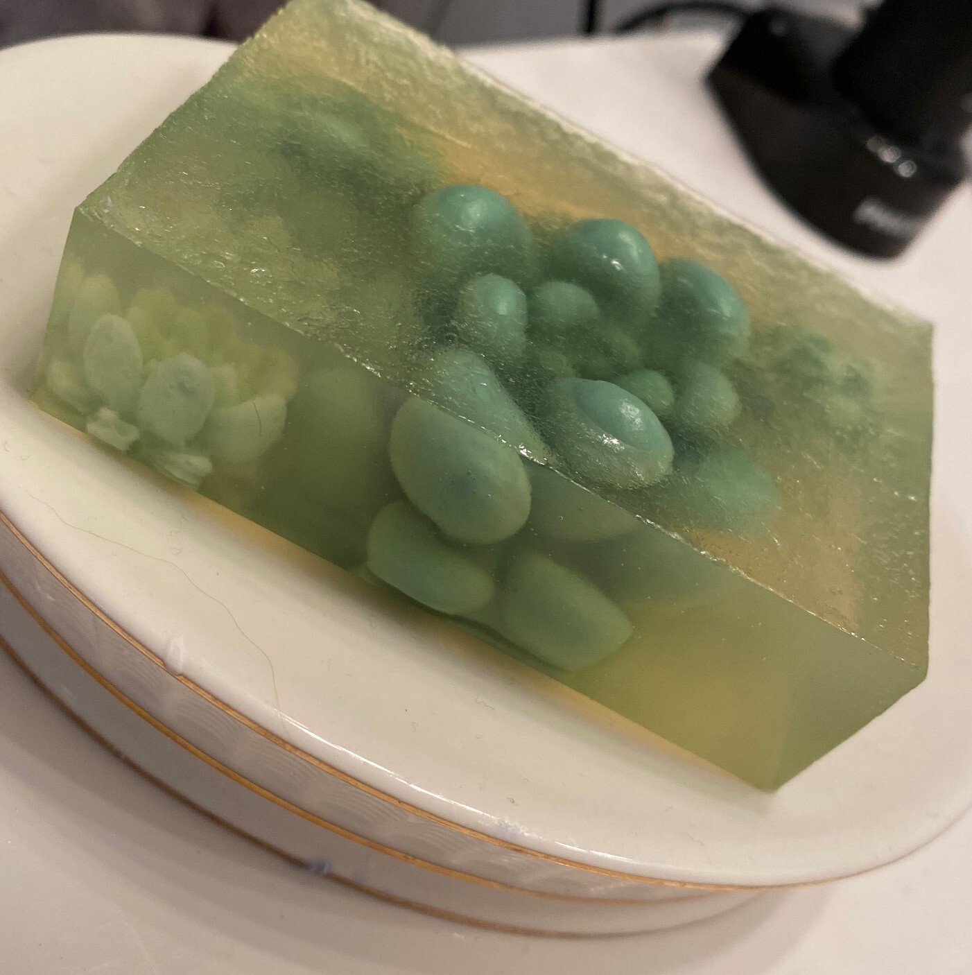 Terrarium Plant Bar Soap