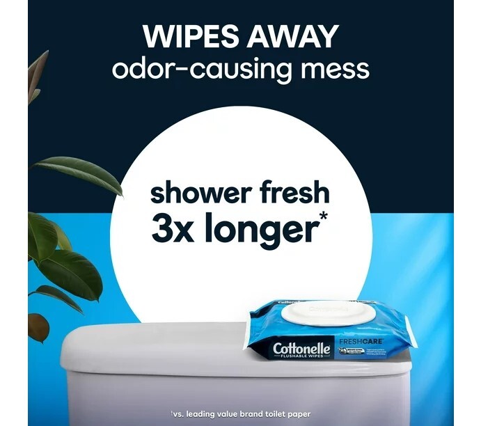 Fresh Care Flushable Wipes, 10 Flip-Top Packs, 42 Wipes per Pack 420 Total Flush