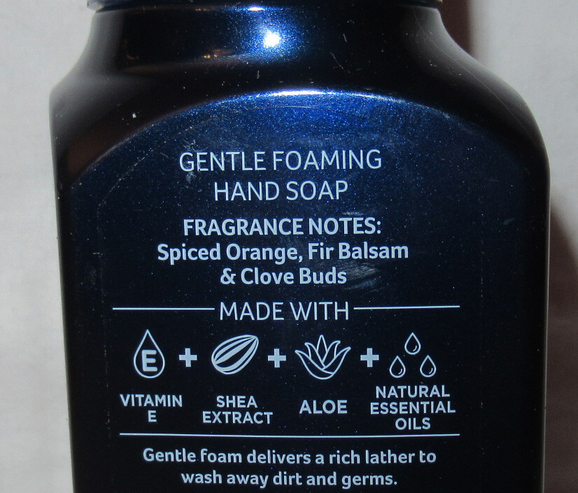 Bath & Body Works Gentle Foaming Hand Soap Lot Set of 2 WINTER orange clove buds