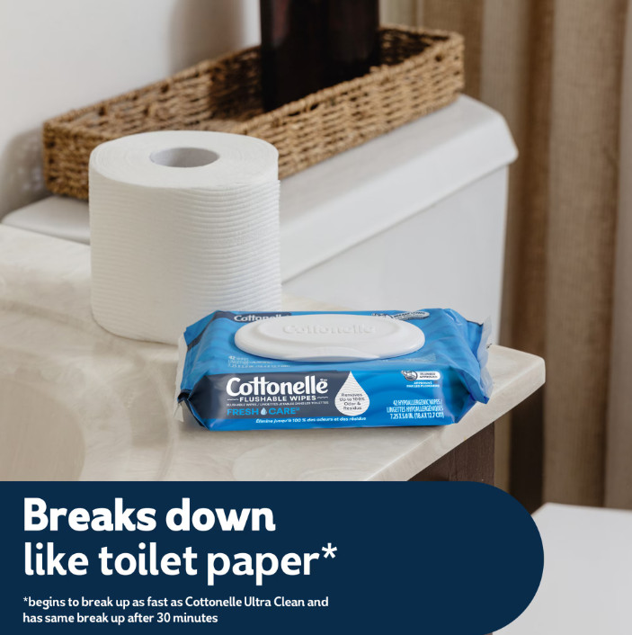 2 Pack Cottonelle Fresh Care Flushable Wet Wipes, 10 Flip-Top Packs