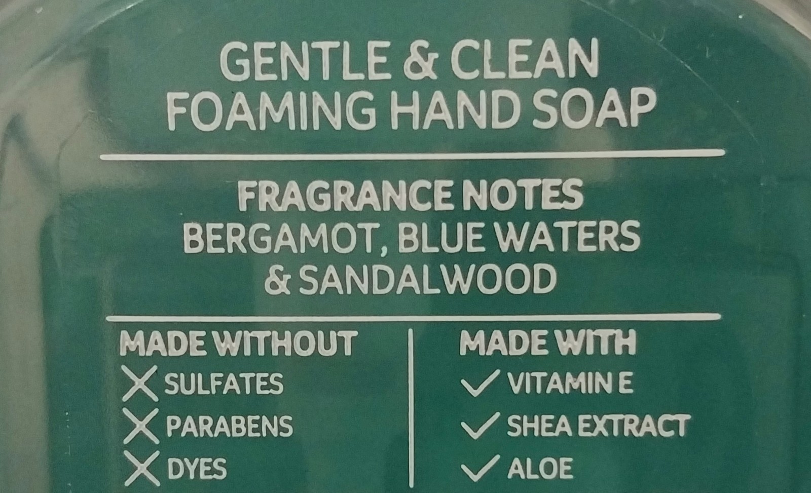 NEW! Bath & Body Works BERGAMOT WATERS Gentle Foaming Hand Soap Wash Set of 4