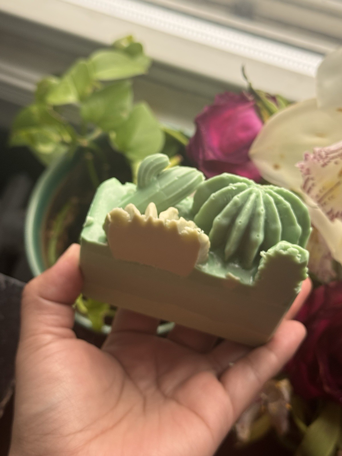 Cactus Soap| Coconut milk |Grapefruit Scent | Green Bar Soap