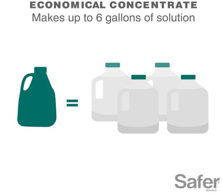 Insect Killing Soap Spray, Effective against Whiteflies, Thrips and Mealybugs