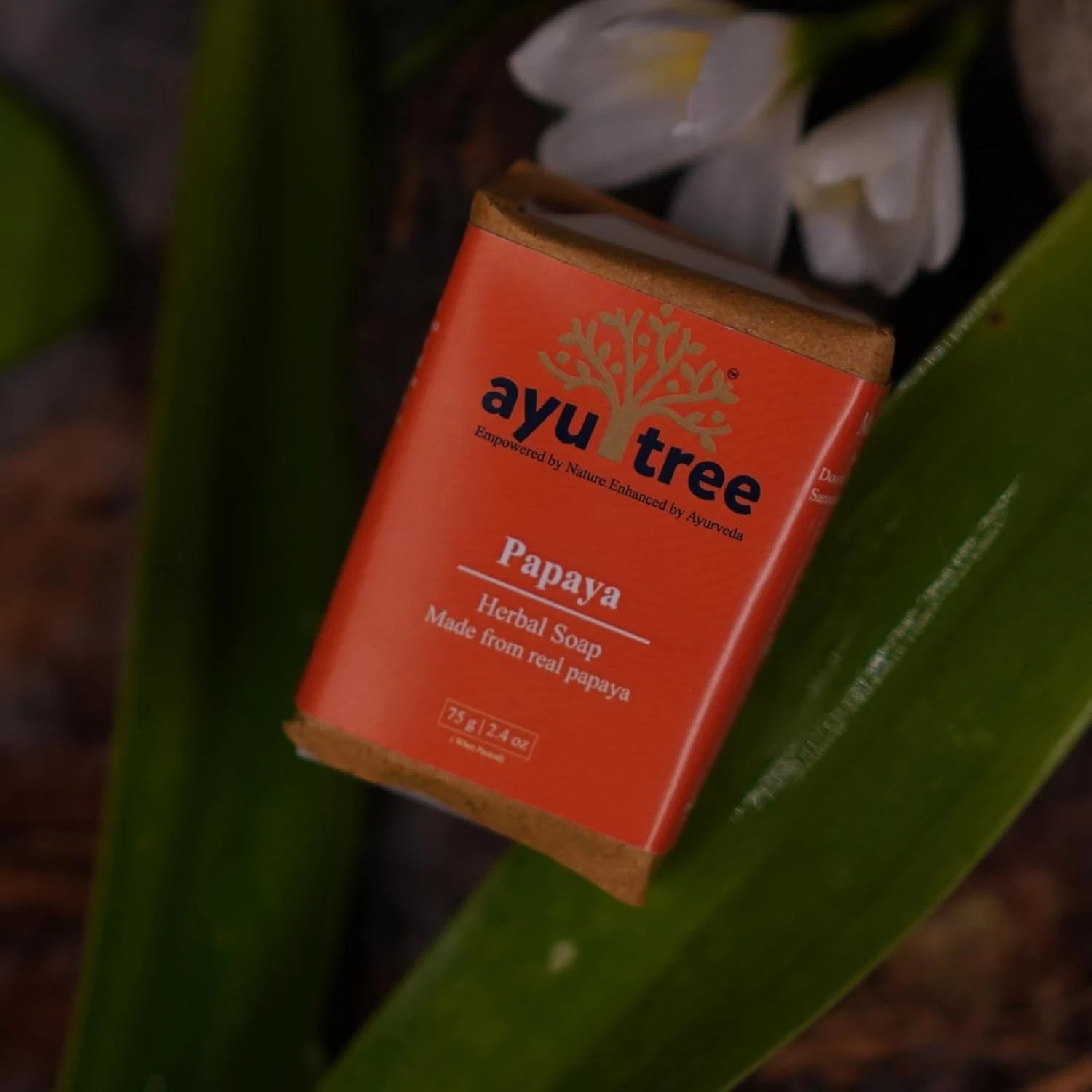 Ayutree Papaya Herbal Soap For All Skin Types 75gm a288