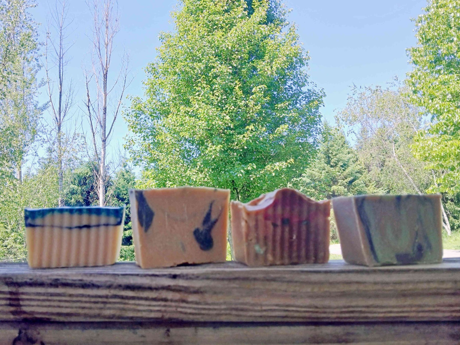 Handmade Goat Milk Soap Set of 4 Large Bars with Free Gift Earthy Woodsy