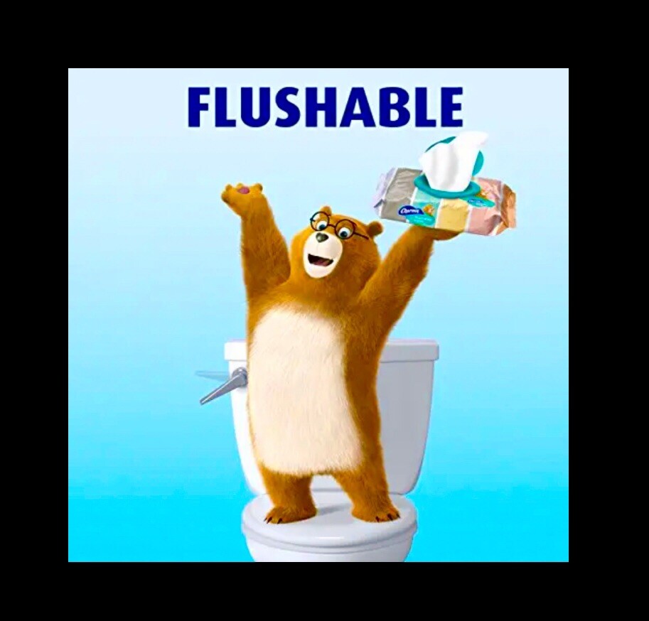 Charmin Flushable Wipes with flip top lids 80 count (2 x 40 Wipes) printed packs