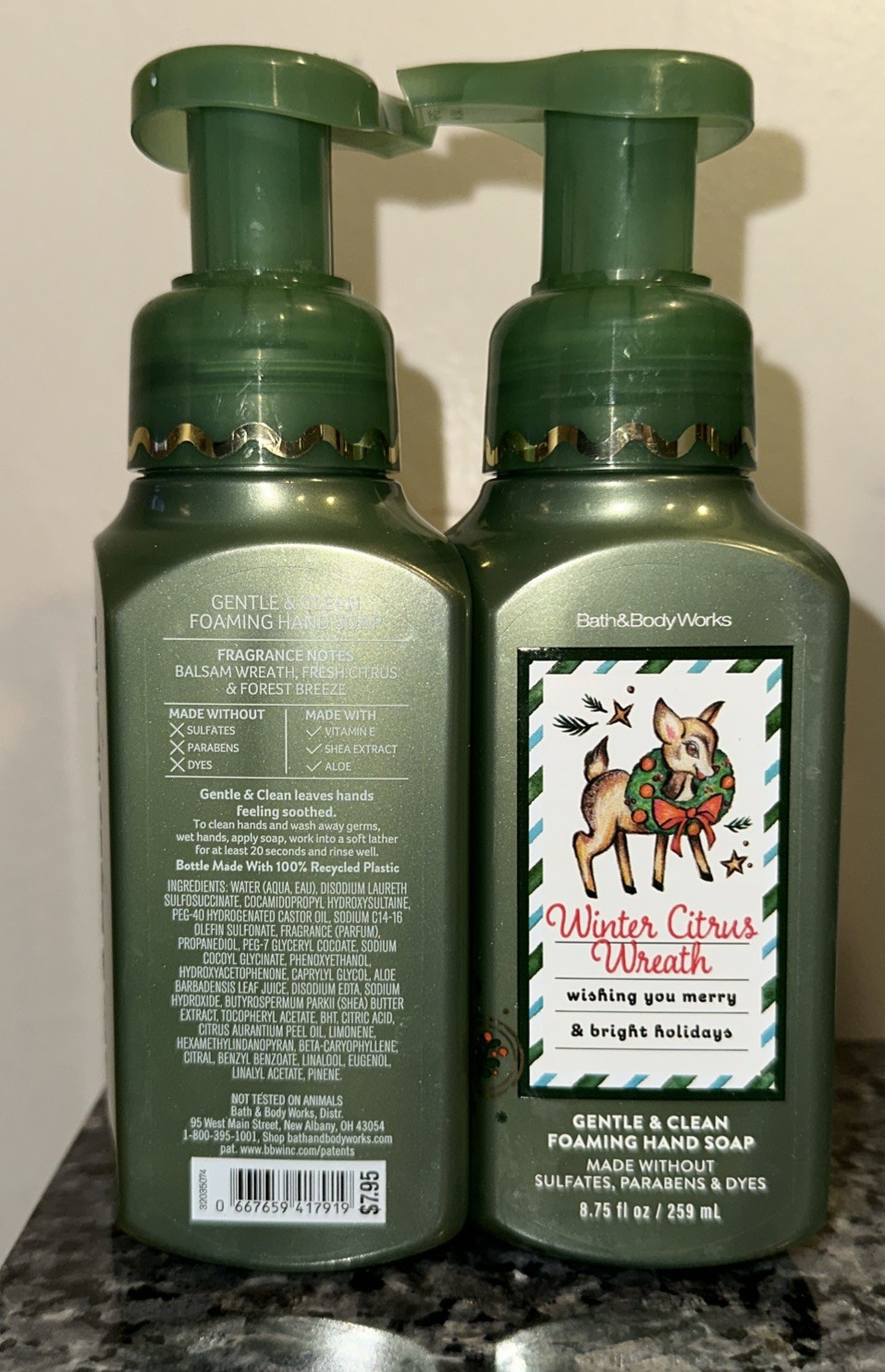 Bath & Body Works Gentle & Clean Foaming Hand Soap Set of 2 WINTER CITRUS WREATH
