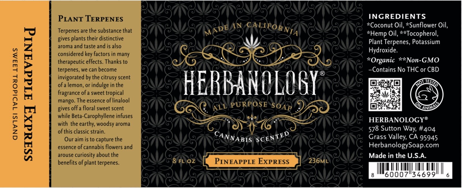 Herbanology 8oz Pineapple Express Organic Liquid Castile All Purpose Soap