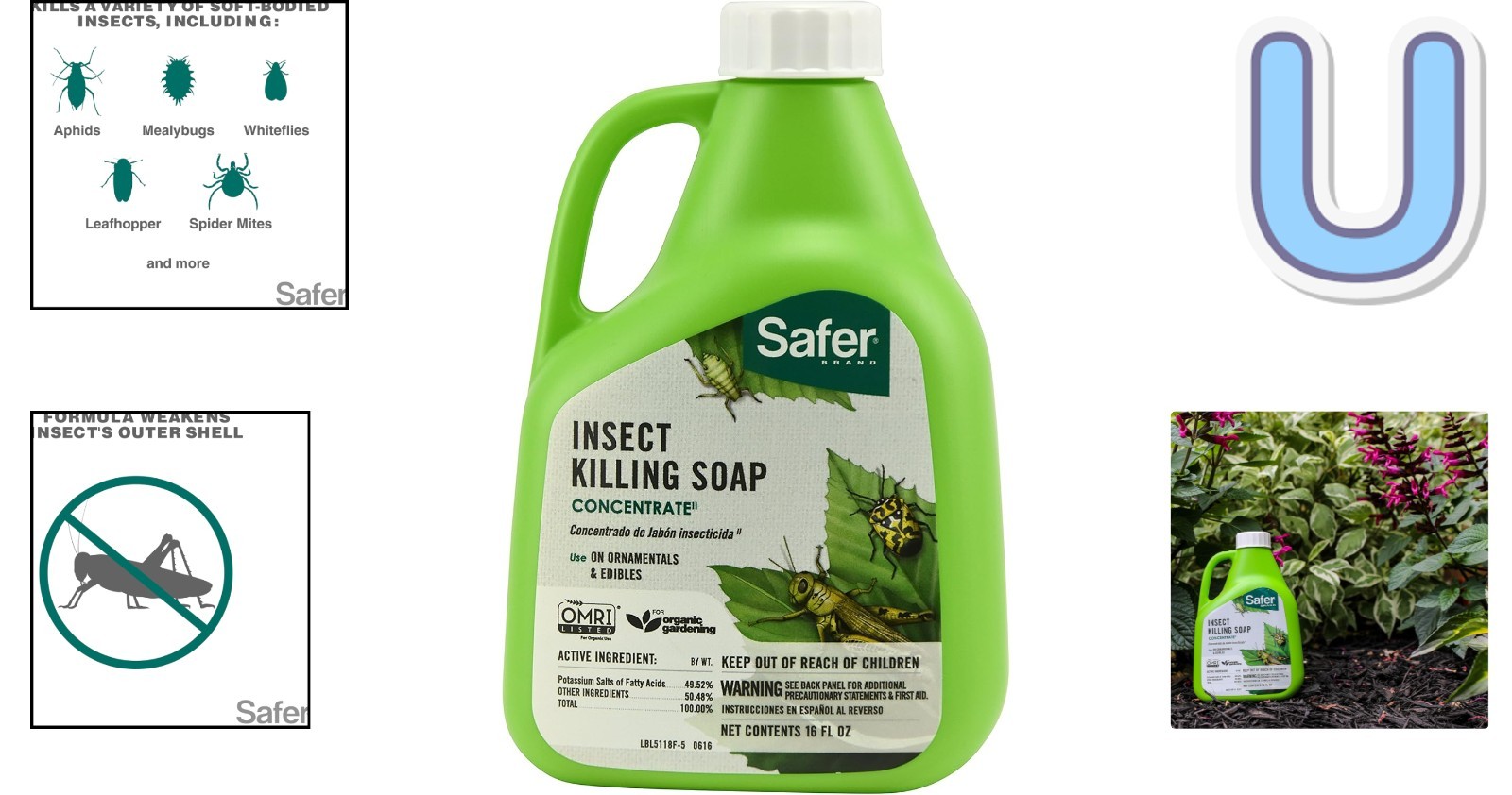Insect Killing Soap Concentrate – 16 oz OMRI Listed for Plant Protection