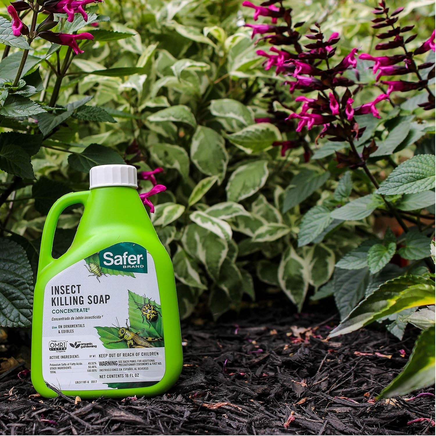 Safer 5118-6 Insect Killing Soap 16oz – Effective on Aphids & Spider Mites