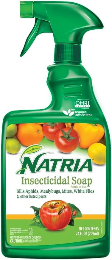 Insecticidal Soap, Ready-To-Use Garden Bug Treatment, Insect Killer for Indoor