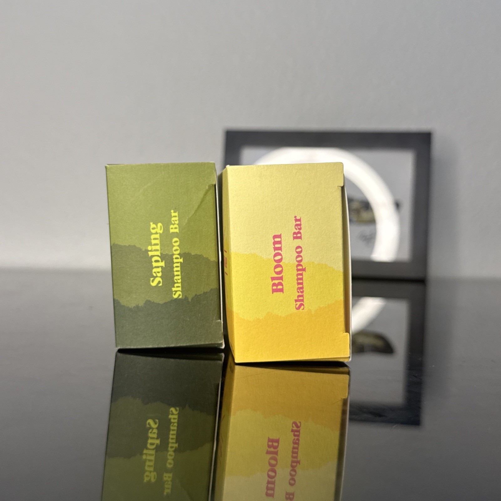 Sun Basin Soap 3oz 2 pack BLOOM & SAPLING Free Shipping A19