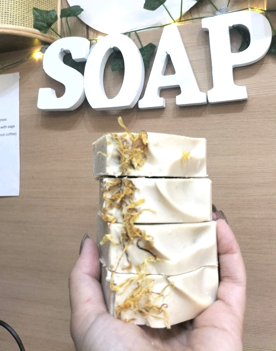 Goat Milk soap Unscented Business Box 50 soaps – Bulk Soap