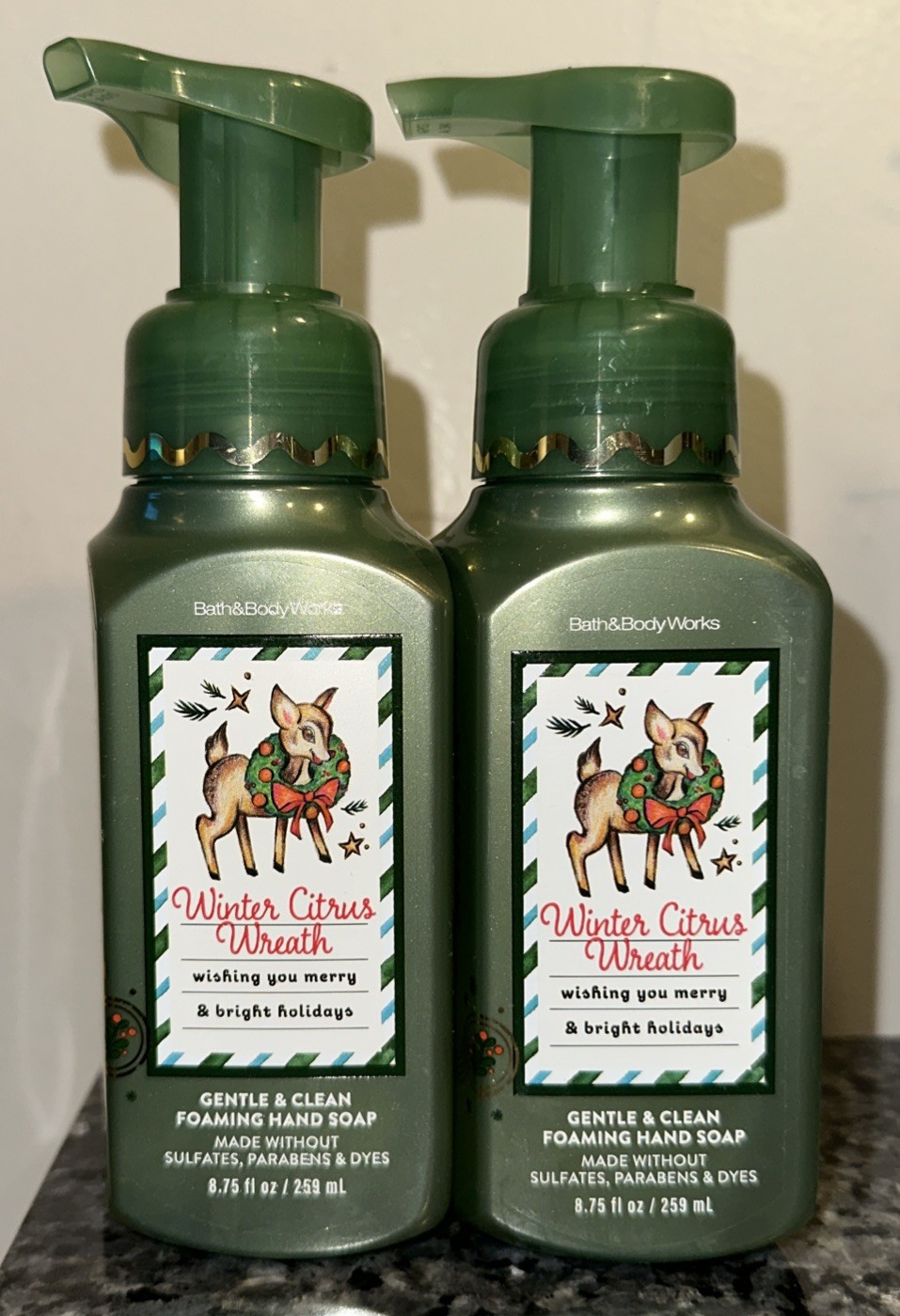 Bath & Body Works Gentle & Clean Foaming Hand Soap Set of 2 WINTER CITRUS WREATH
