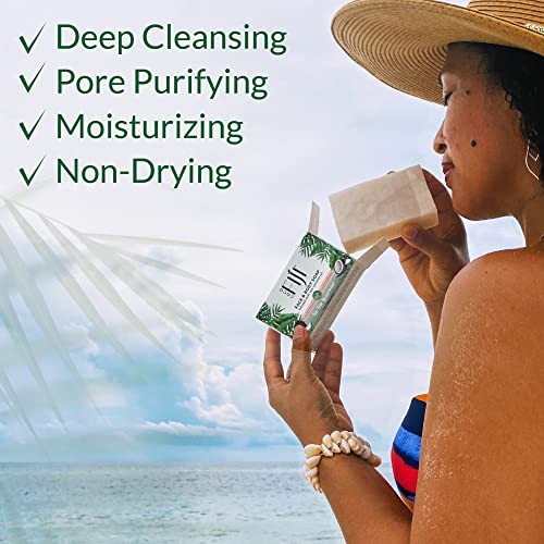 Coco Fiji Soap Bar for Face and Body 7 Ounce (Pack of 2) Tea Tree Spearmint