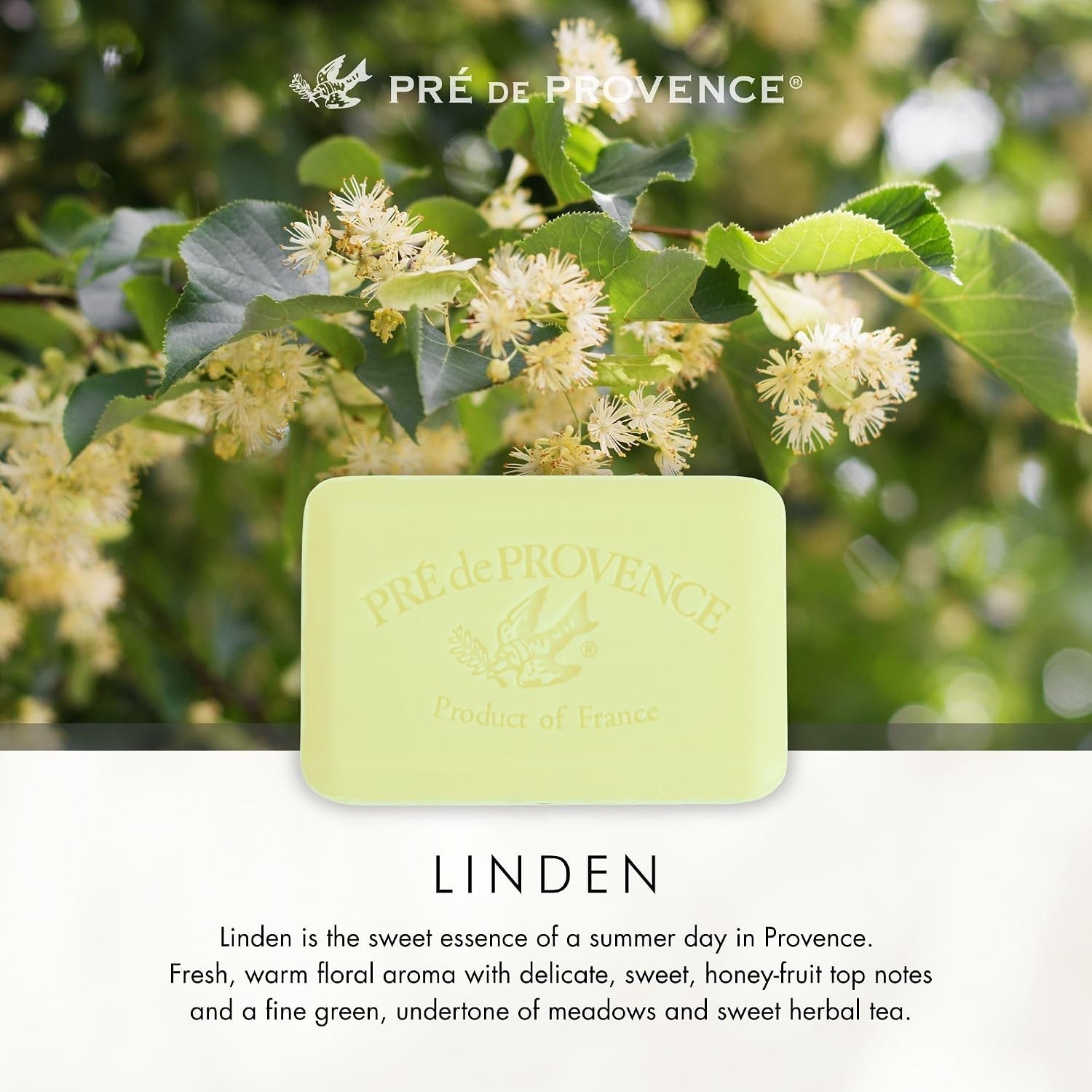 Artisanal Soap Bar, Natural French Skincare, Enriched with Organic Shea Butte…
