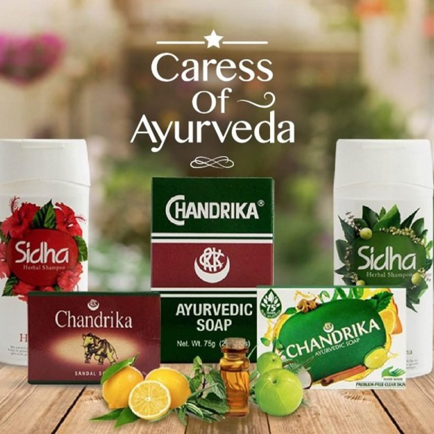 Chandrika Bath and Body Ayurvedic Bar 1 Count (Pack of 10), forest green