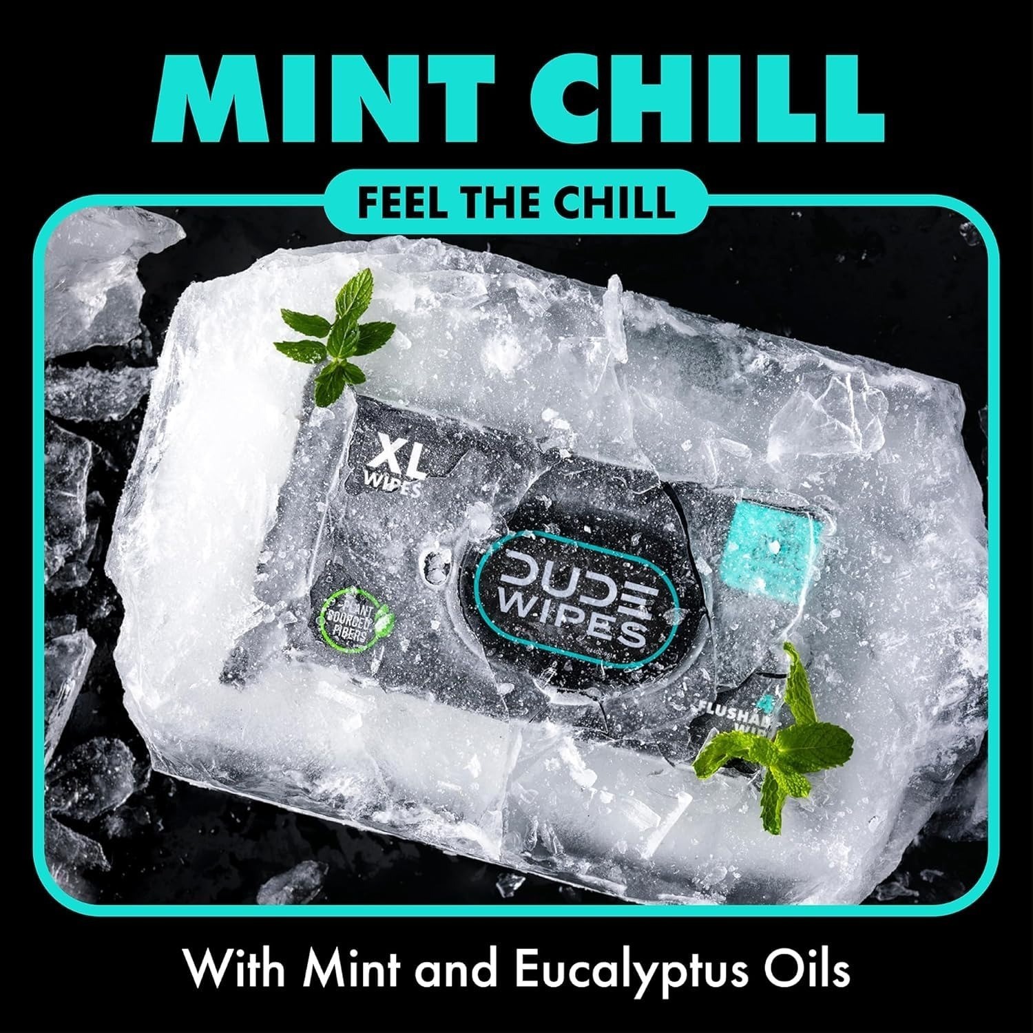 DUDE Wipes Mint Chill Flushable Wet Wipes 48 Count | Refreshing & Gentle