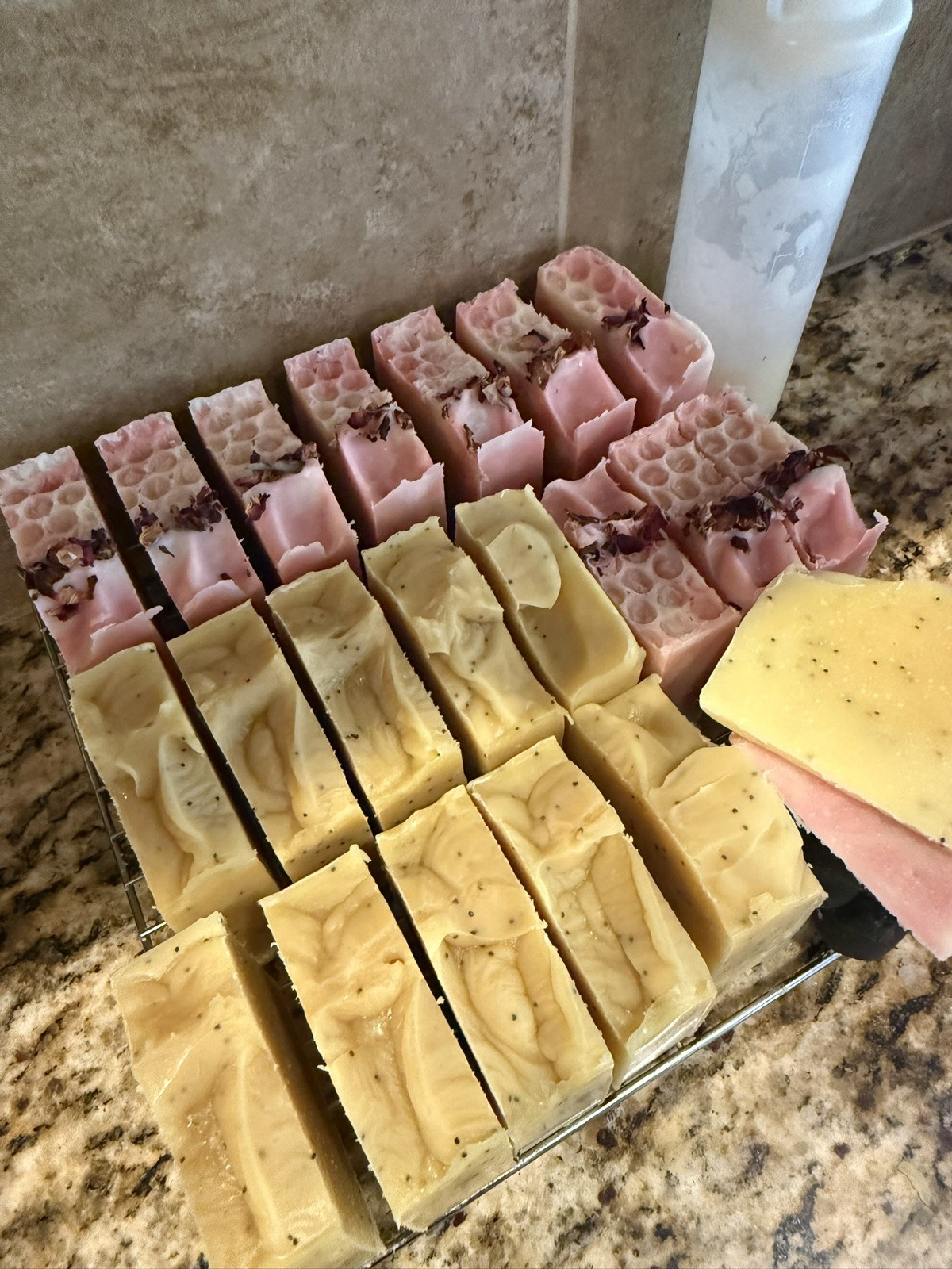 Lemon Poppyseed Goat Milk & Tallow Swirl Body Bar Soap for Body & Hands