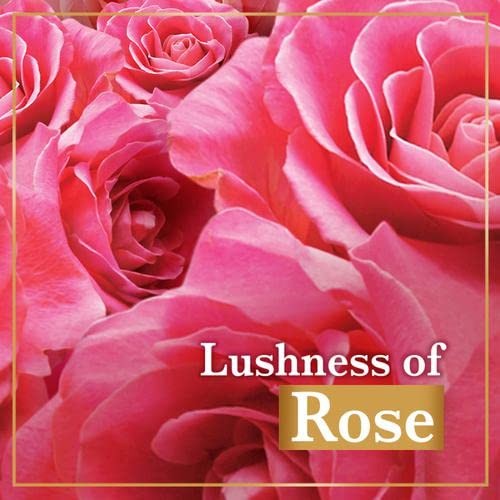 LUX Soft Touch Silk Essence & Rose Water Soap 5.3 Ounce (Pack of 3), Pink