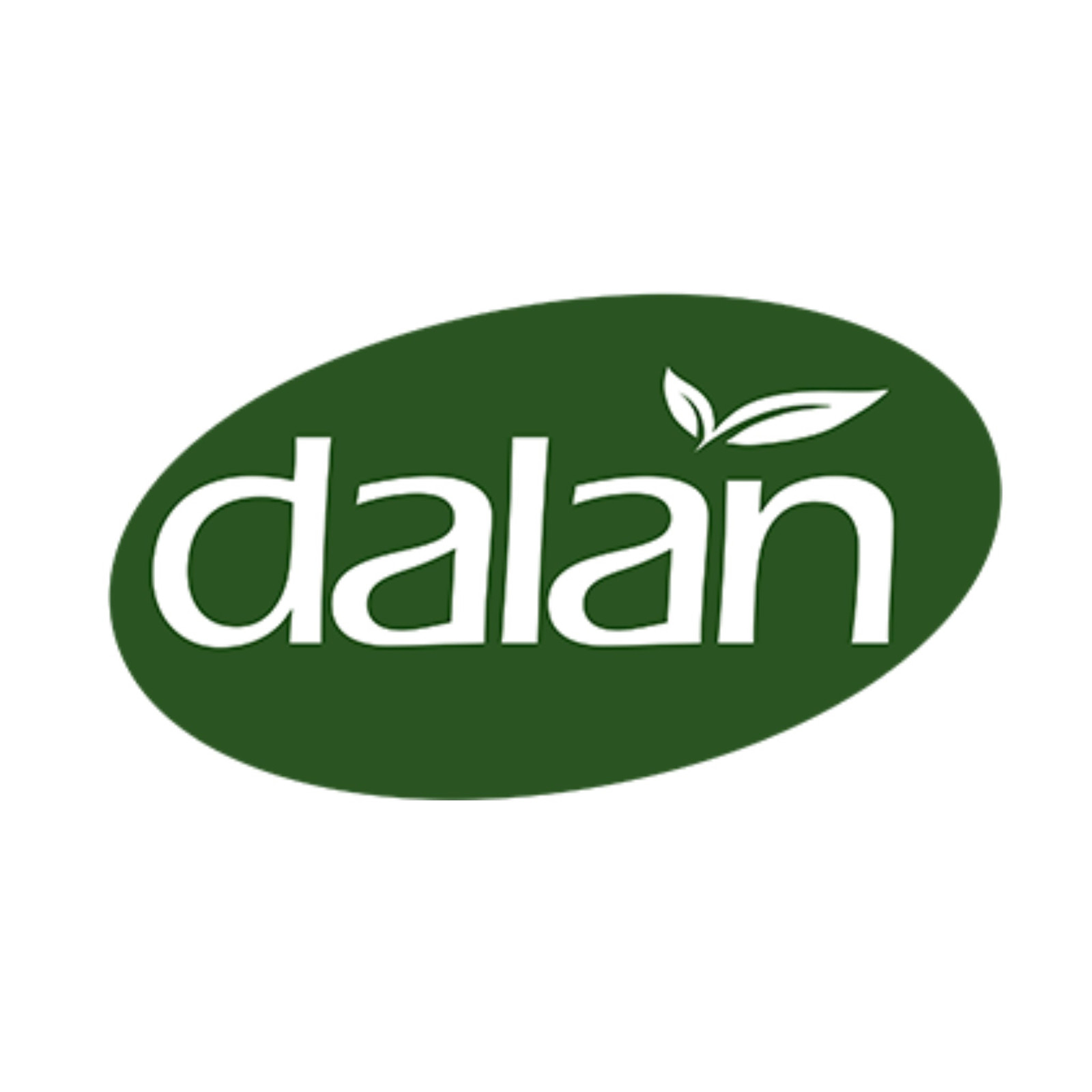 Dalan Antibacterial Refreshing Soap Spring Freshness 6 Bars x 3.17oz Each