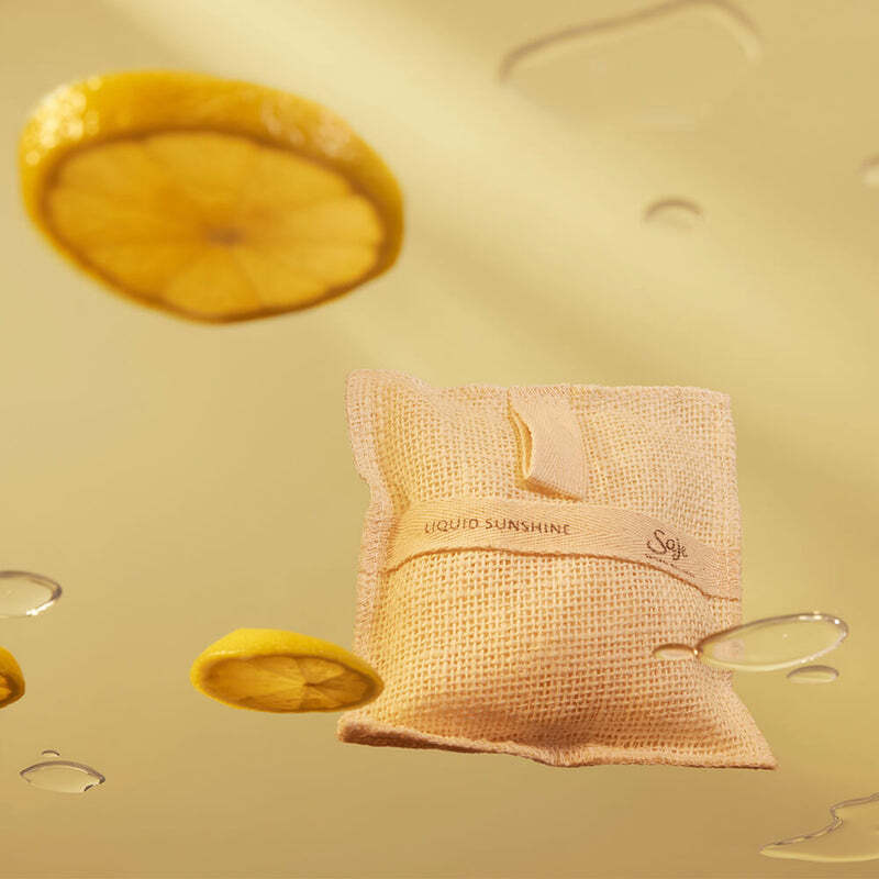 Saje Jute & Joy Liquid Sunshine Soap-Filled Wash Pad – Pack of 2 – FROM CANADA