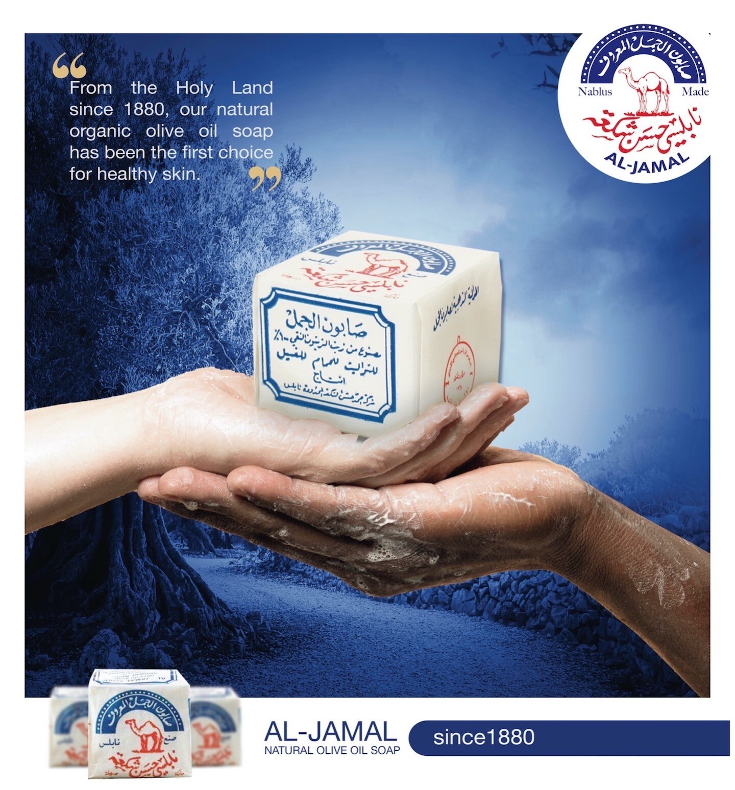 Al-Jamal Soap Bars Virgin Olive Oil OrganicTraditional Nablus Palestine Count 2