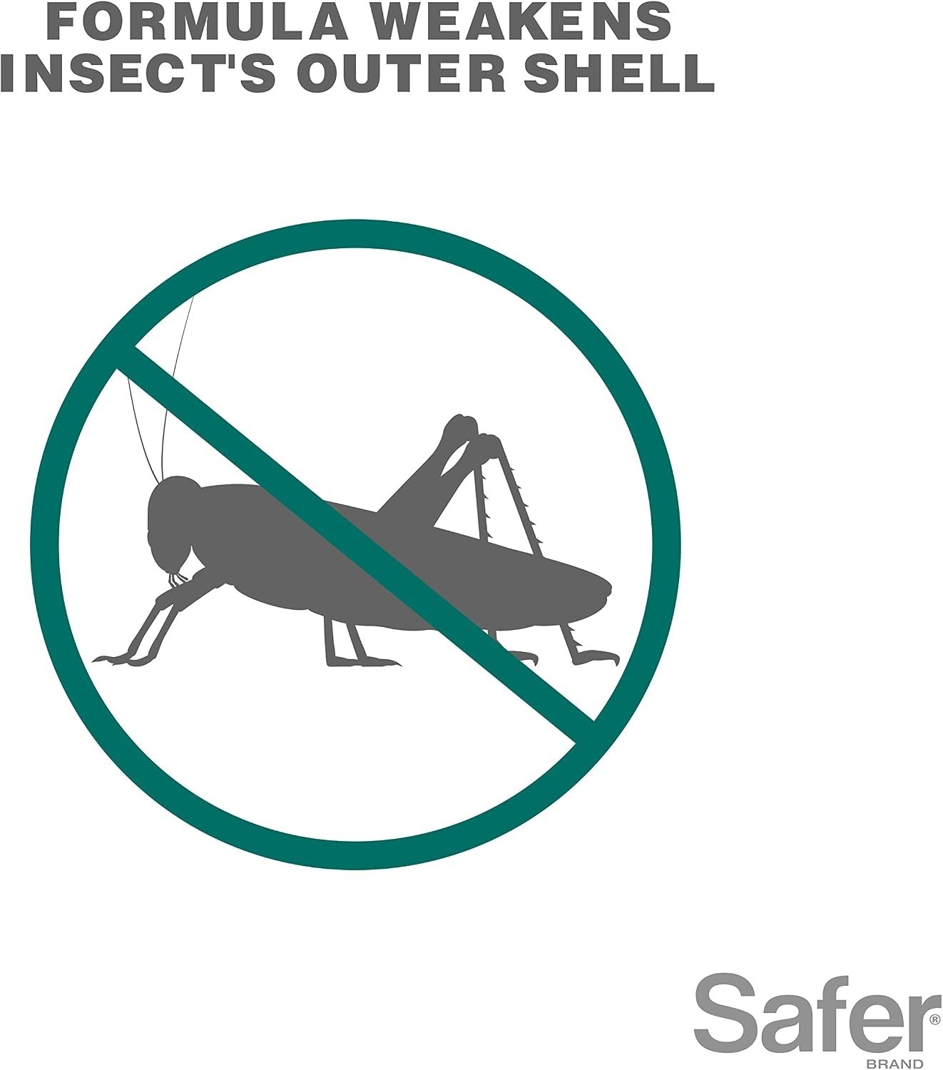 Safer 5118-6 Insect Killing Soap 16oz – Effective on Aphids & Spider Mites