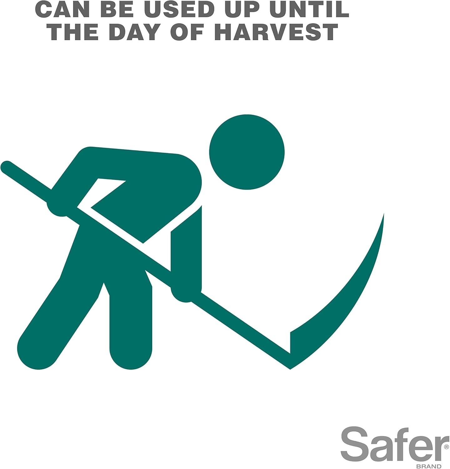 Insect Killing Soap Spray Effective Against Whiteflies, Thrips And Mealybugs