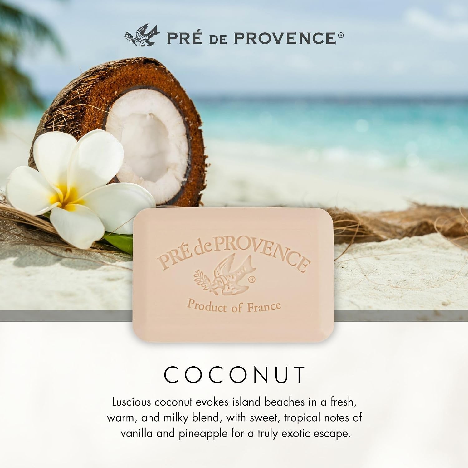 Artisanal Soap Bar Enriched with Organic Shea Butter Natural French Skincare