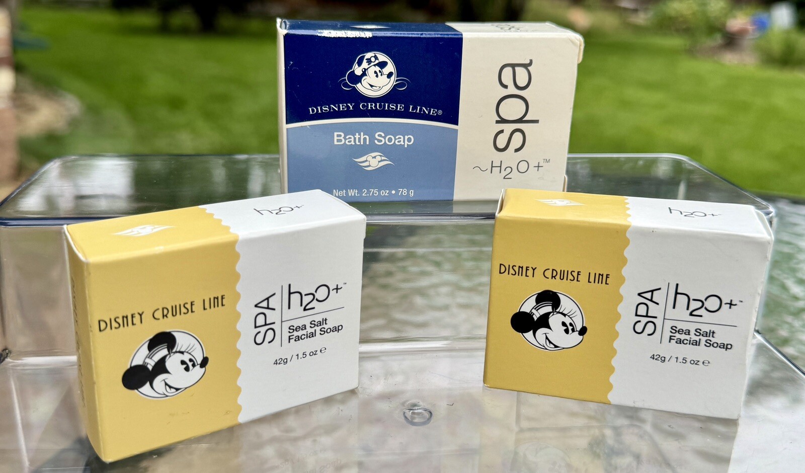 Disney Cruise Line H20 + Spa Sea Salt Facial soap and Bath soap lot new NIB