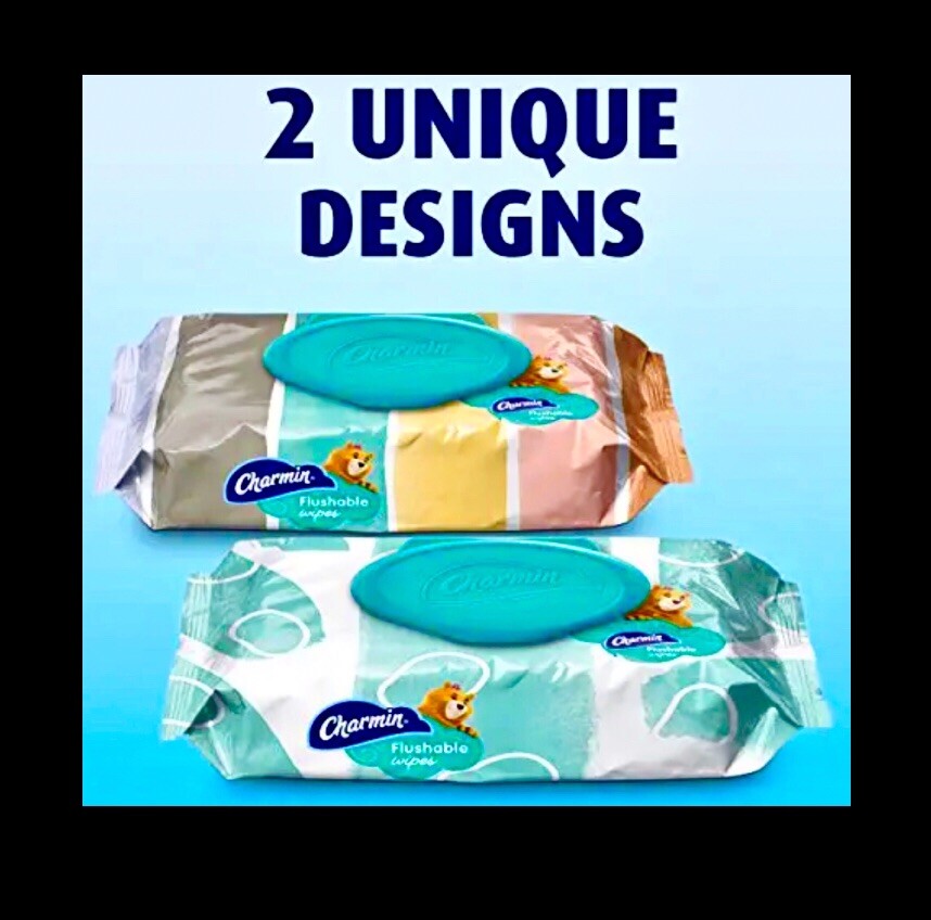 Charmin Flushable Wipes with flip top lids 80 count (2 x 40 Wipes) printed packs