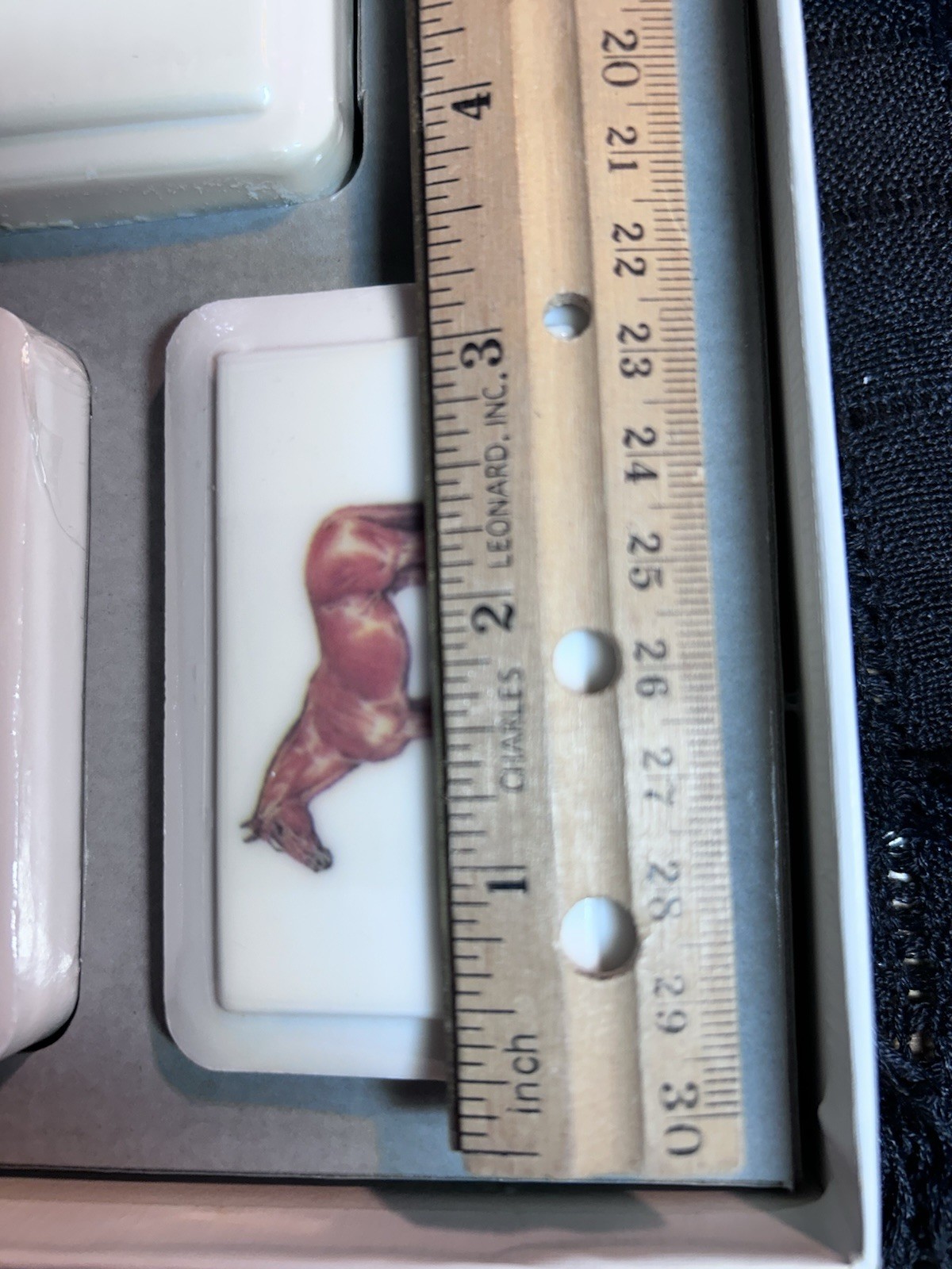Katherine Gray French Milled Bar Soap w/ Horse Image Design That Lasts
